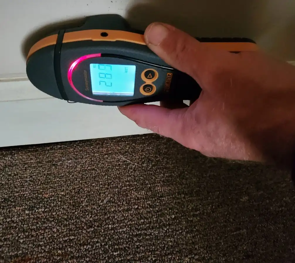 Moisture detection at baseboard during Burst Pipe Cleanup in Brentwood